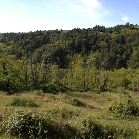 Ecrin De Verdure En Ardeche Verte דירה Colombier-le-Vieux