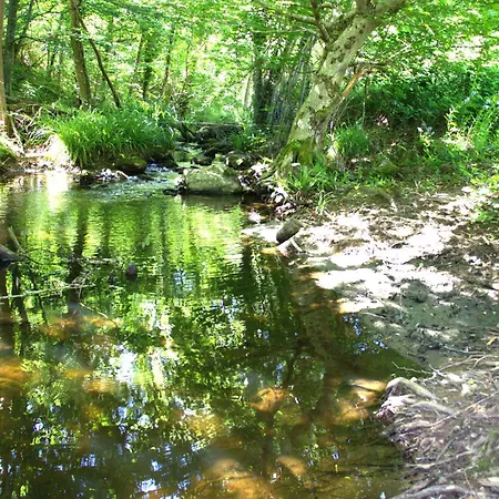 דירה Ecrin De Verdure En Ardeche Verte *