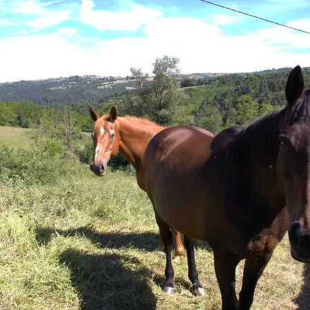 Ecrin De Verdure En Ardeche Verte דירה